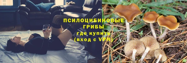 скорость Лиски
