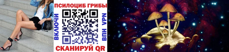Псилоцибиновые грибы Psilocybe  мега как зайти  Дыгулыбгей 